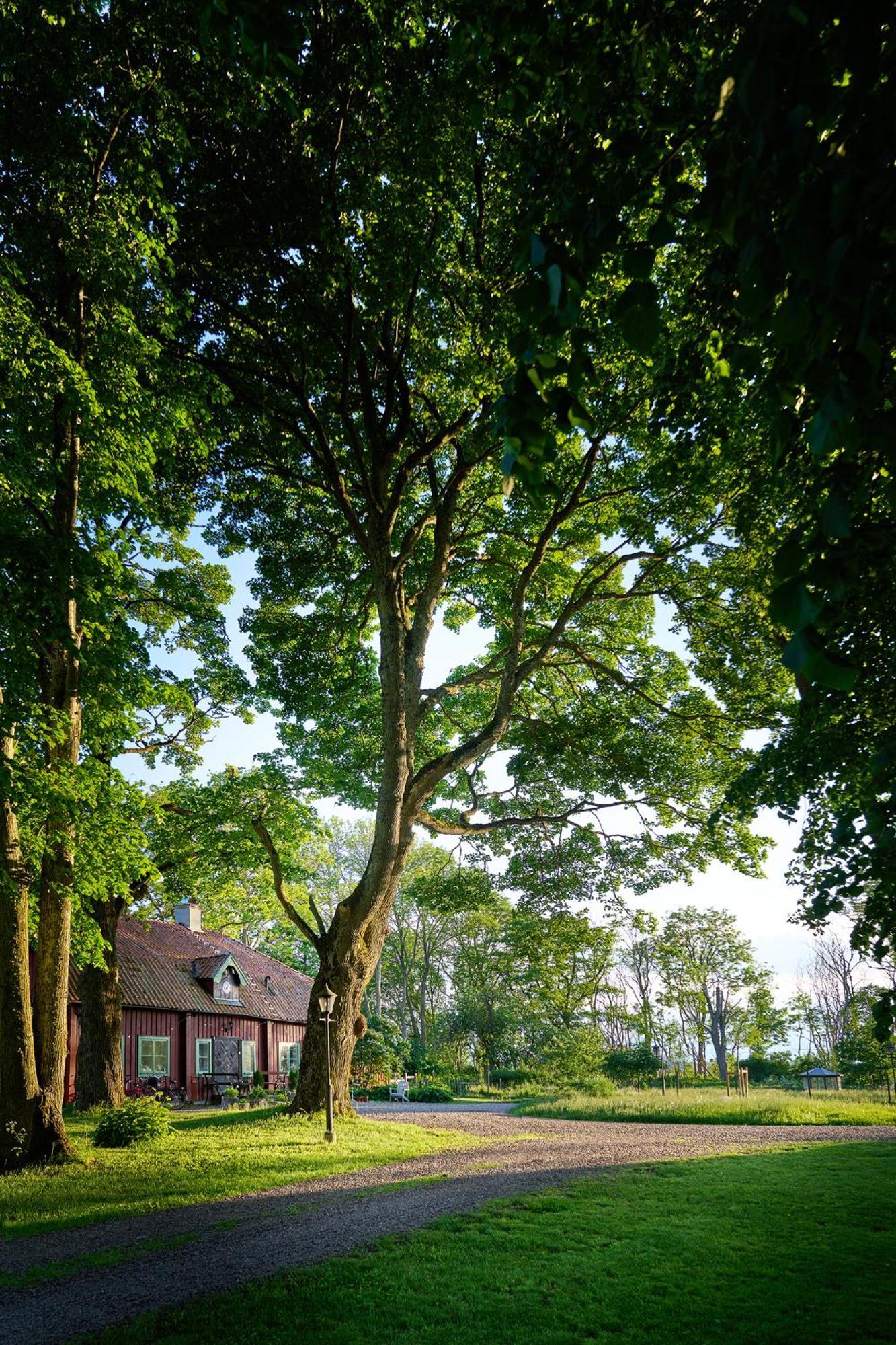 Kungs Starby Gard Bed And Breakfast Vadstena Exteriér fotografie